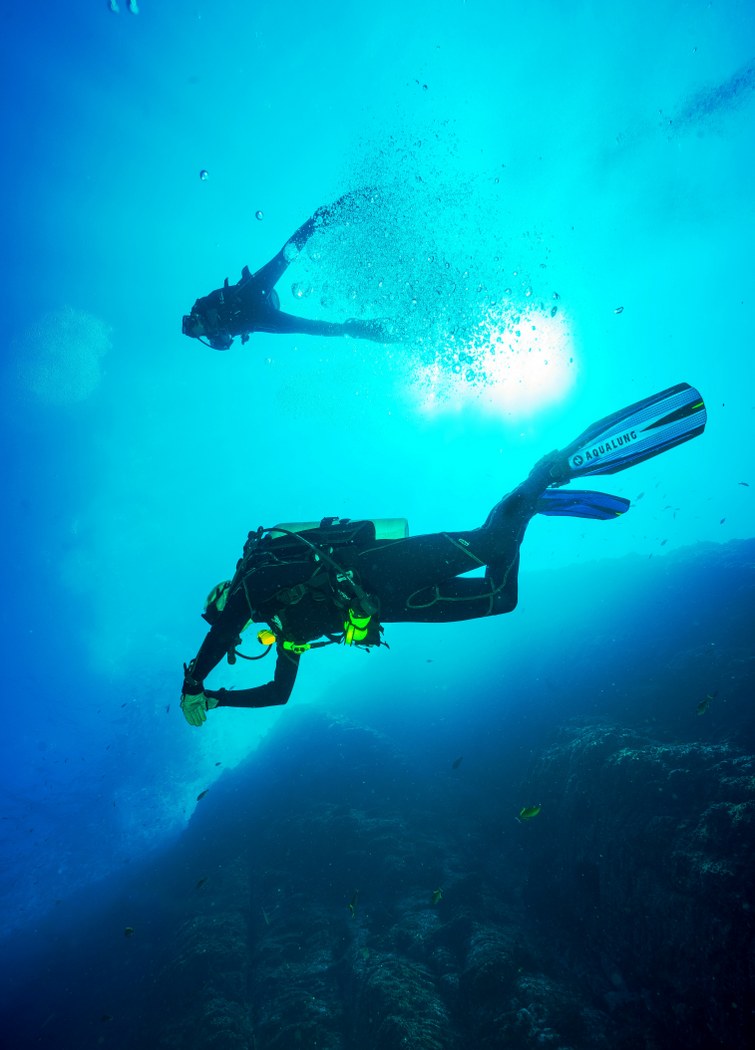 You are currently viewing Beginner Dive locations in Bali
